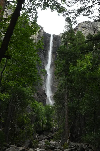 DSC_4600 (Large).JPG